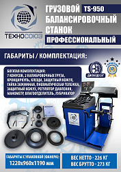 Комплект TS-52D Шиномонтажный стенд+TS-950 Балансировочный станок